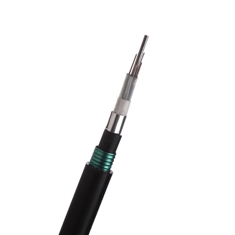 Anti rongeur de fibre de câble optique de double de PE de bande en acier extérieure souterraine blindée de double
