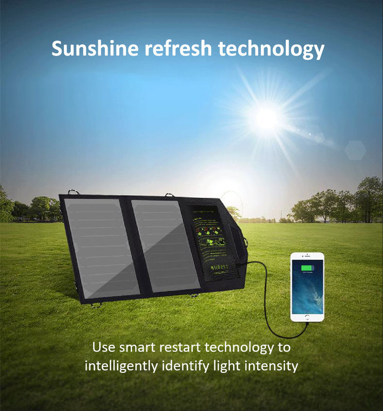 Chargeur solaire se pliant extérieur 5V portatif 10W 300g de téléphone portable de panneau de picovolte